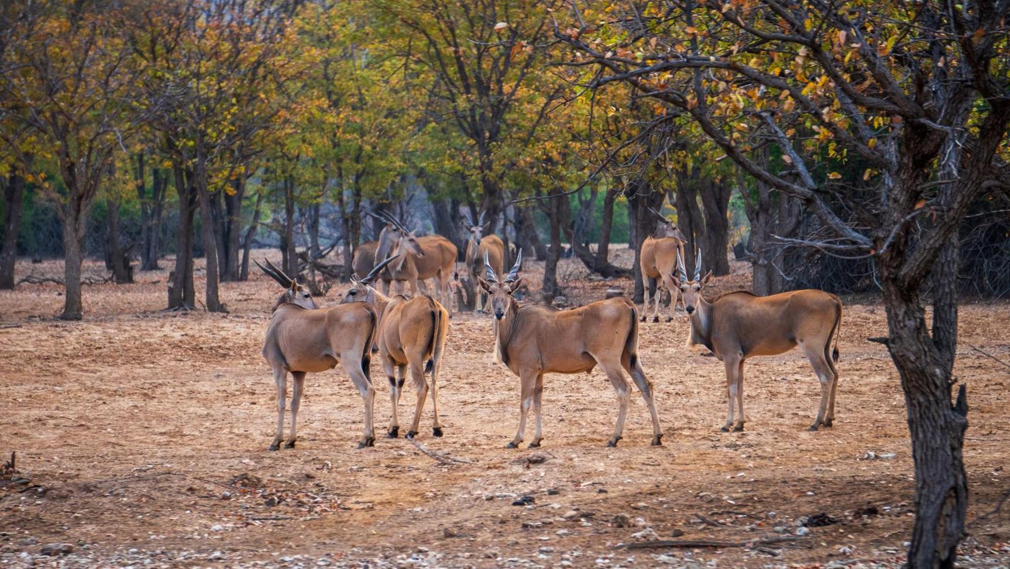 Ugab Game Farm & Lodge Vingerklip 외부 사진